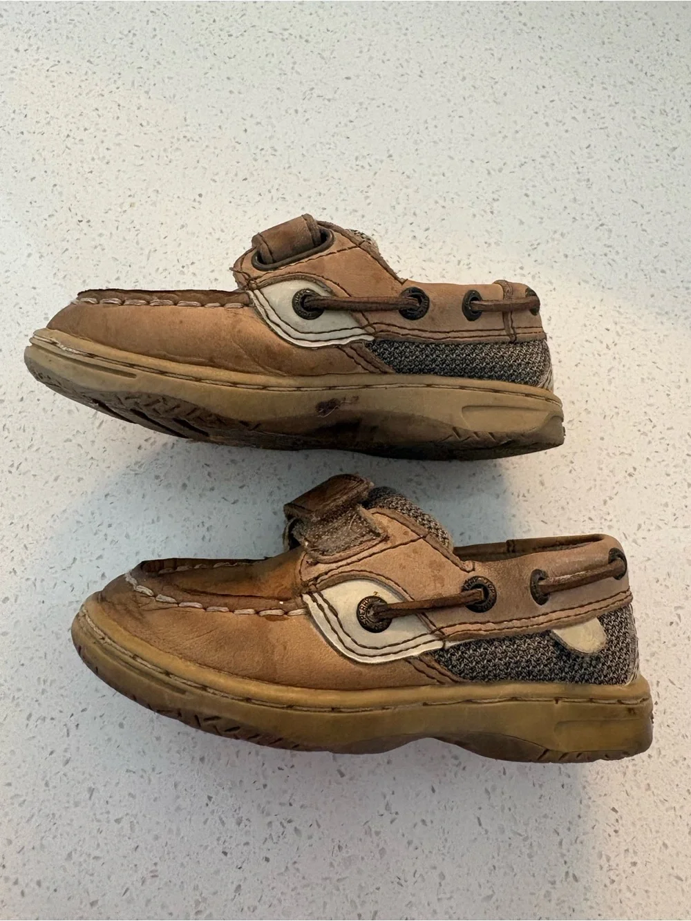 Sperry shoe itself